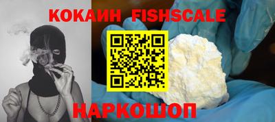 индика Рузаевка