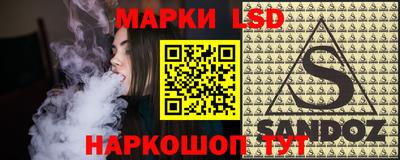 индика Рузаевка